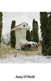 Amy o'neill - suburban imagination - Couverture - Format classique