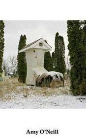 Amy o'neill - suburban imagination - Intérieur - Format classique