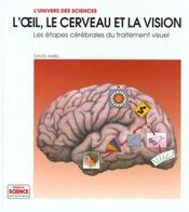 L'oeil, le cerveau, la vision. - les etapes cerebrales du traitement visuel - Intérieur - Format classique
