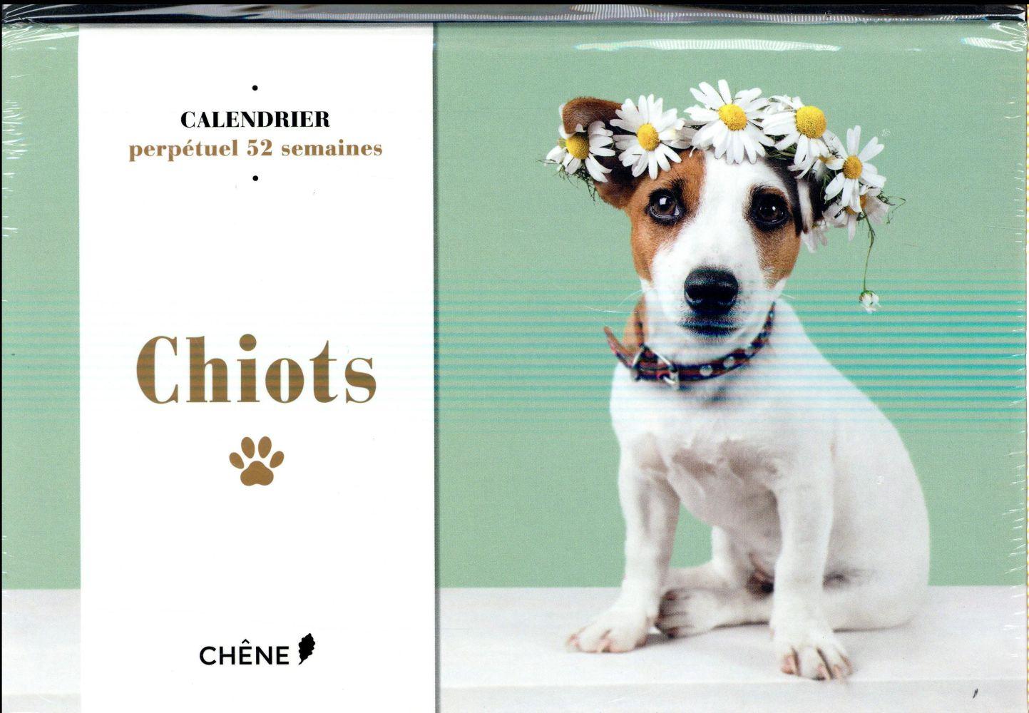 Calendrier chiots