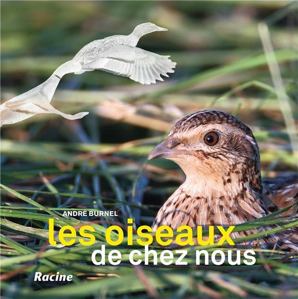 Vente Livre :                                    Les oiseaux de chez nous (2e édition)
- André Burnel                                     