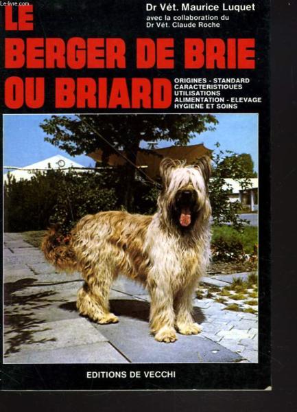Berger de brie ou briard