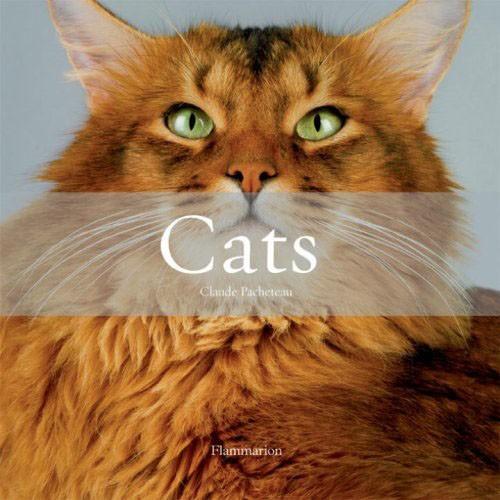Cats  - Claude Pacheteau  