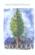 Le sequoia