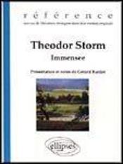Storm theodor, immensee - Intérieur - Format classique