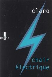 Chair Electrique - Intérieur - Format classique