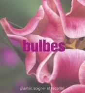 Bulbes - Intérieur - Format classique