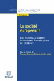 La societe europeenne ; droit et limites aux strategies internationales de developpement des entreprises