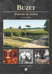 Buzet ; terroir de vignes  - Alain Paraillous 