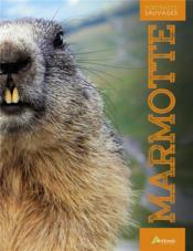 La marmotte  - Collectif 