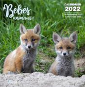 Vente  Bébés animaux (édition 2022)  - Collectif 