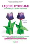Lecons d'origami ; les secrets pour devenir origamiste
