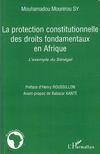 La protection constitutionelle des droits fondamentaux en afrique