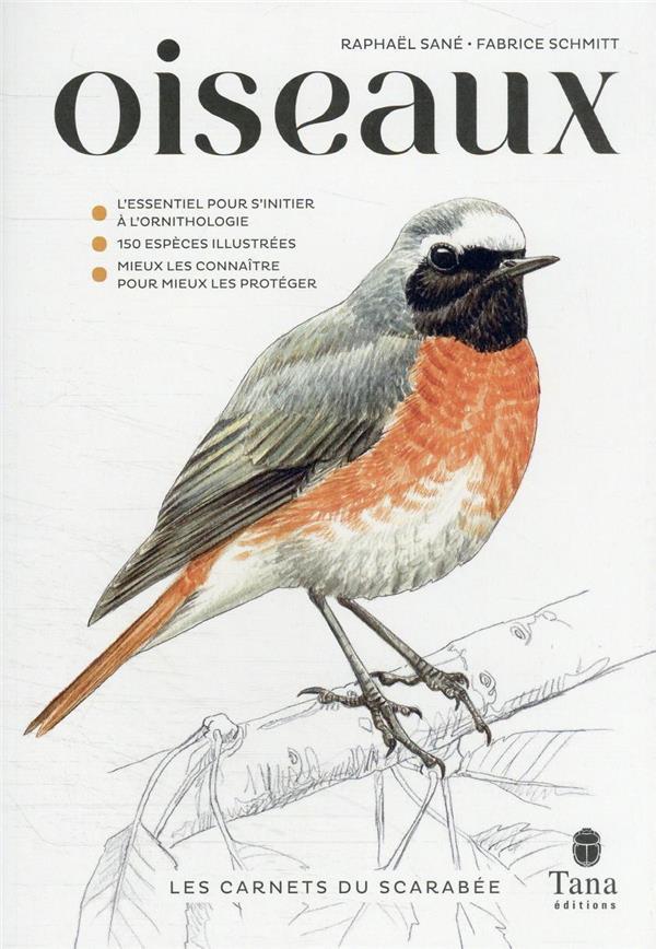 Vente Livre :                                    Les carnets du scarabée : oiseaux
- Fabrice Schmitt                                     