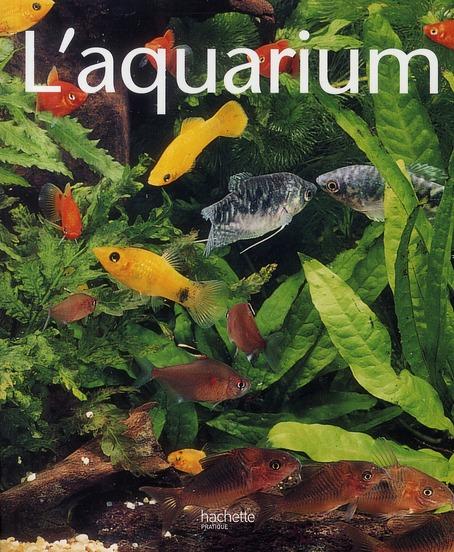 L'aquarium