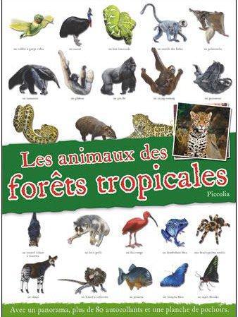 Livres panoramas/les animaux des forets tropicales