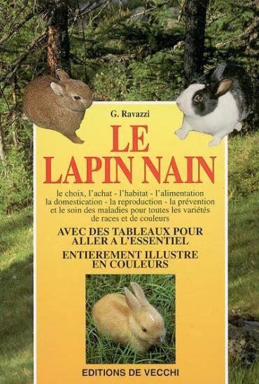 Le lapin nain