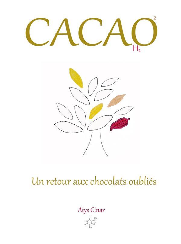 Cacao, H2O, O  : un retour aux chocolats oubliés  