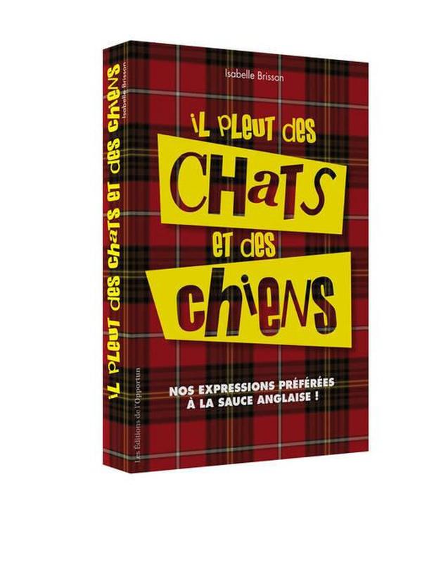 Il pleut des chats et des chiens ; nos expressions préférées à la sauce anglaise