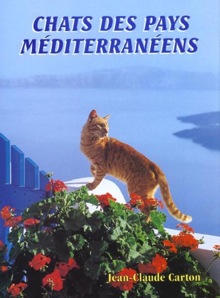 Chats des pays mediteraneens