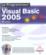 Visual basic 2005 ; programmeur toolpack