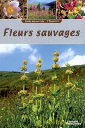 Guide découverte fleurs sauvages  - Debaisieux - Graveline 