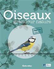 Oiseaux grandeur nature  - Guilhem Lesaffre 