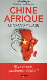 Chine Afrique ; le grand pillage - Couverture - Format classique
