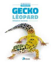 Gecko léopard ; eublepharis macularius  - Cindy Merker - Gerold Merker - Julie Bergman 