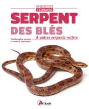 Serpent des blés & autres serpents ratiers ; pantherophis guttata, p. obsoletus, bogertophis...  - Philip Purser 