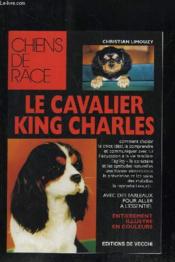 Cavalier king-charles  - Limouzy 