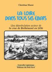 La Loire dans tous ses ébats ; une déambulation autour de la crue de Bréhémont en 1856 - Couverture - Format classique