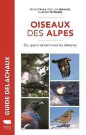 Oiseaux des Alpes : où, quand, comment les observer  - Massimo Pettavino - Pier Luigi Beraudo - Bruno Caula 