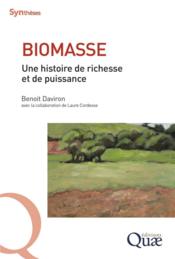 Biomasse ; une histoire de richesse et de puissance  - Benoit Daviron - Laure Cordesse 