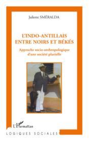 L'Indo-Antillais, Entre Noirs Et Bekes ; Approche Socio-Anthropologique D'Une Societe Plurielle