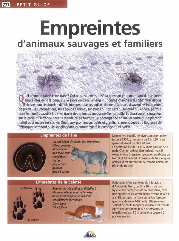 Empreintes d'animaux sauvages et familiers