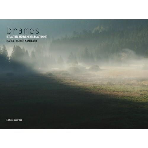 Vente  Brames (et autres mouvements d'automne)  - M.&O. Namblard  - Marc Namblard  - Olivier Namblard  