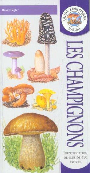 Les Champignons