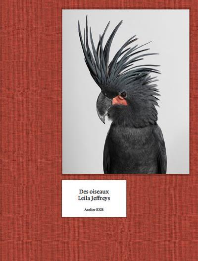 Vente Livre :                                    Des oiseaux
- Jeffreys/Lesaffre  - Leila Jeffreys  - Guilhem Lesaffre                                     