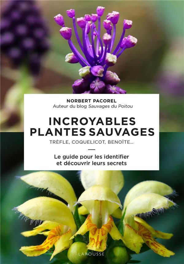 Vente Livre :                                    Incroyables plantes sauvages ; trèfle, coquelicot, benoîte... ; le guide pour les identifier et découvrir leurs secrets
- Norbert PACOREL                                     