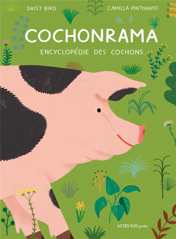 Vente Livre :                                    Cochonrama : encyclopédie des cochons
- Daisy Bird                                     