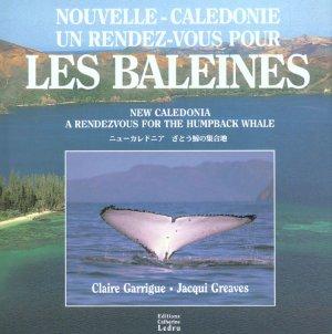 Nouvelle-Calédonie ; un rendez-vous pour les baleines