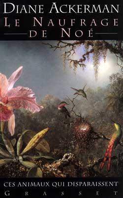 Le naufrage de noe