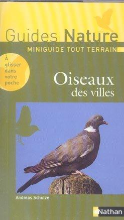 Oiseaux des villes nc