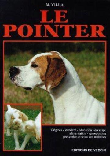 Le pointer