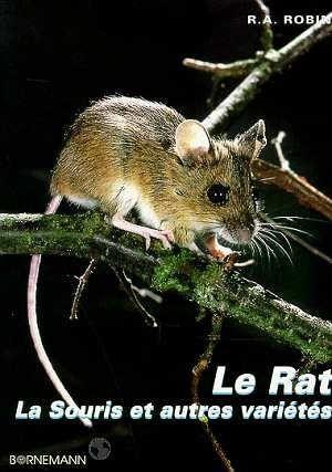Rat souris et autres varietes