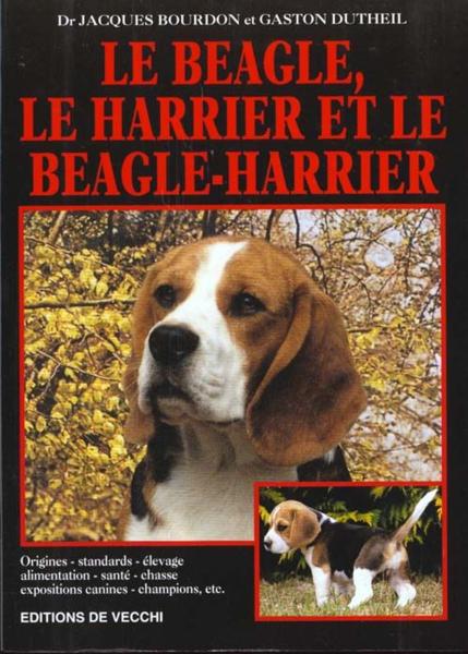 Le beagle, le harrier et le beagle harrier