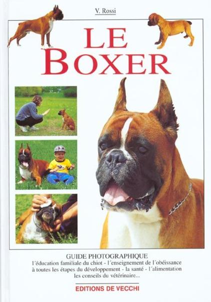 Boxer guide photo