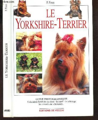 Yorkshire guide photo