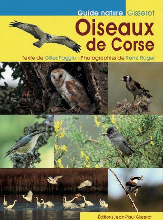 Vente Livre :                                    Oiseaux de Corse
- Gilles Faggio  - Rene Roger                                     